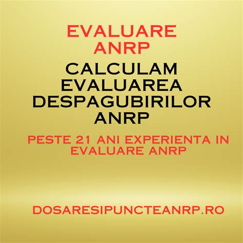 Puncte ANRP .